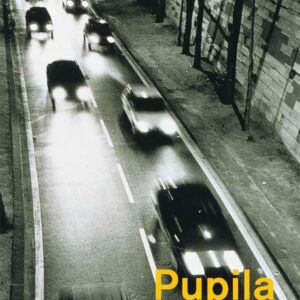 Pupila de águila (ePub) Pupila de águila (ePub)