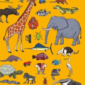 Busca y encuentra entre los animales Busca y encuentra entre los animales