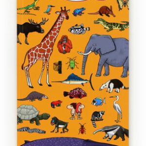 Digues on és gegant. Els animals Digues on és gegant. Els animals