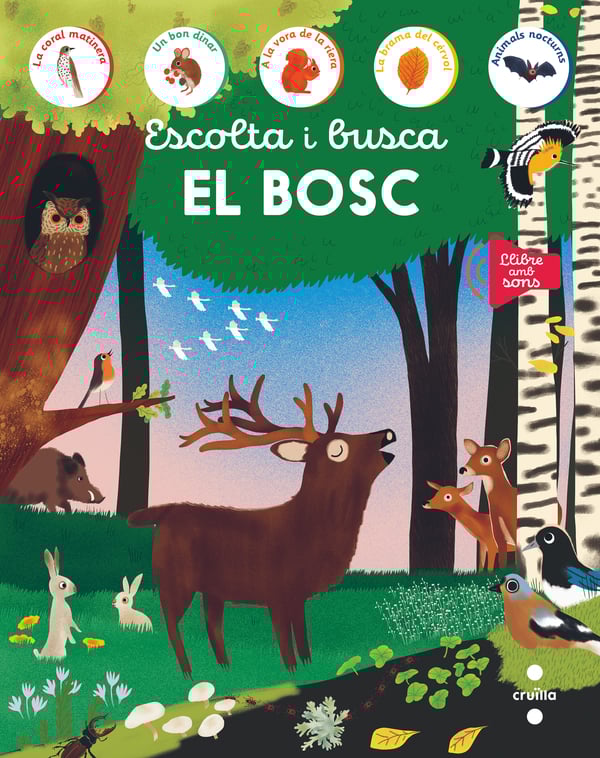 Portada del producto:  Escolta i busca. El bosc