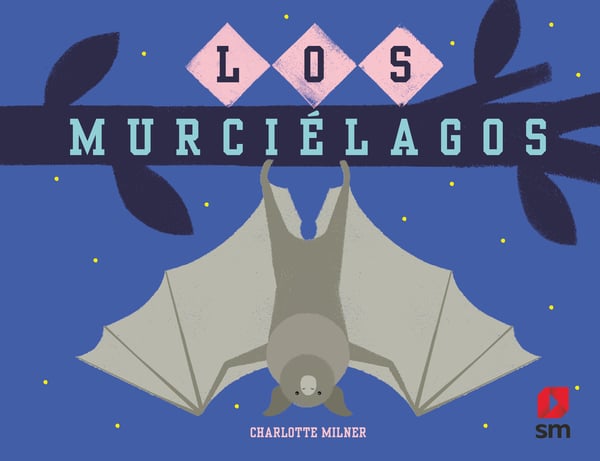 Portada del producto:  Los murciélagos