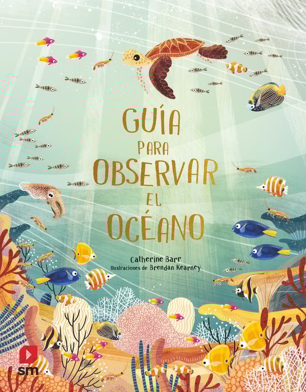 Portada del producto:  Guía para observar el océano