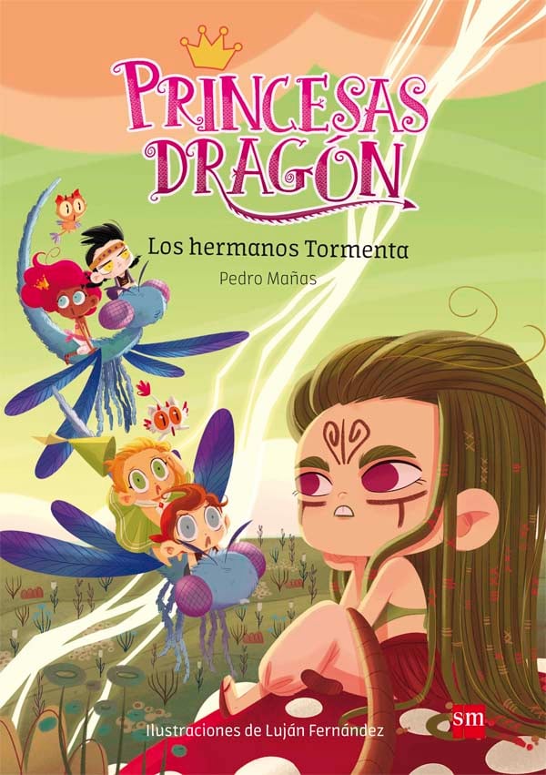 Portada del producto:  Princesas Dragón 5: Los hermanos Tormenta