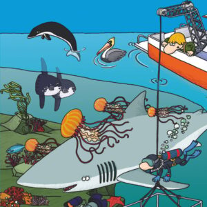 Busca y encuentra en el océano Busca y encuentra en el océano